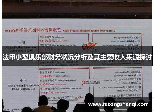 法甲小型俱乐部财务状况分析及其主要收入来源探讨