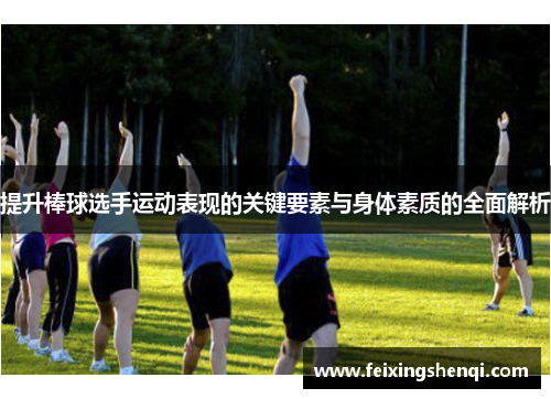 提升棒球选手运动表现的关键要素与身体素质的全面解析