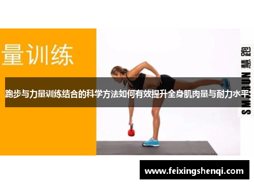 跑步与力量训练结合的科学方法如何有效提升全身肌肉量与耐力水平