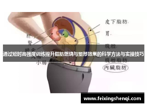 通过短时高强度训练提升脂肪燃烧与塑形效果的科学方法与实操技巧