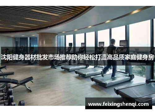 沈阳健身器材批发市场推荐助你轻松打造高品质家庭健身房
